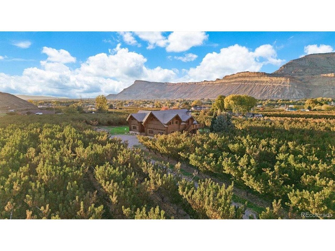 Palisade, Colorado, United States 4 - 18542863