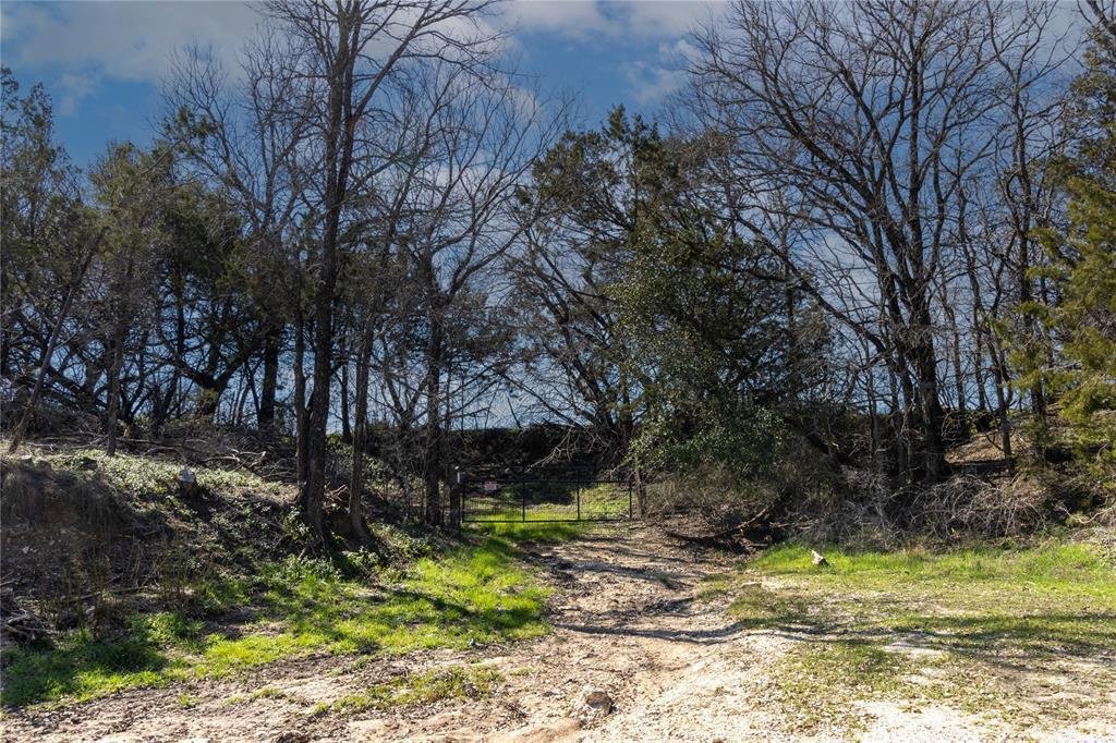 Glen Rose, Texas, United States 5 - 18544539