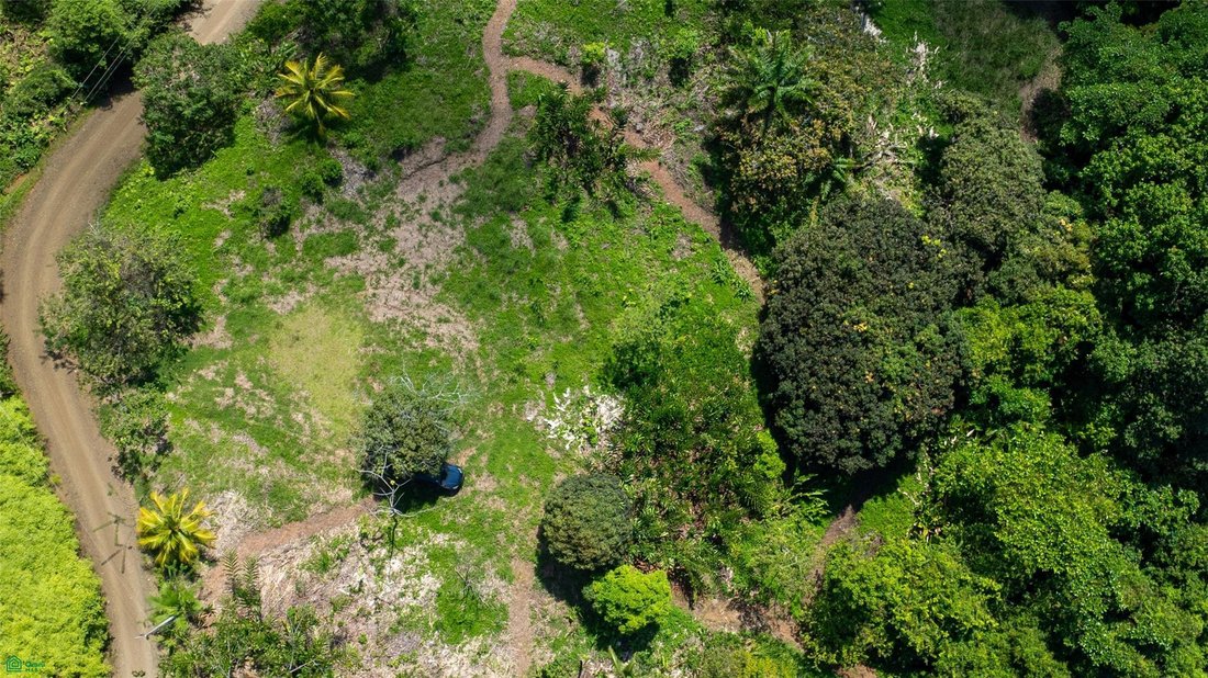 Land in Dominicalito, Puntarenas Province, Costa Rica 5 - 18542751