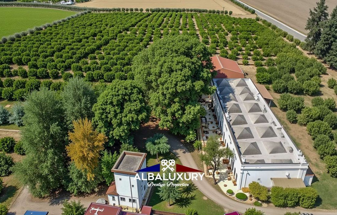 Villa in Ginosa, Apulia, Italy 1 - 15346312