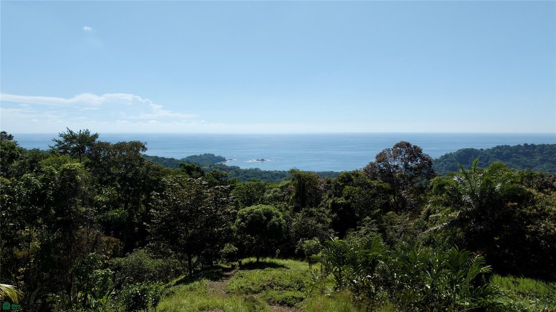 Land in Dominicalito, Puntarenas Province, Costa Rica 1 - 18542751