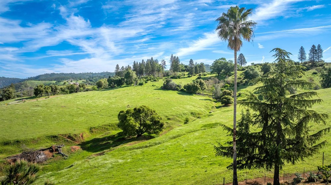 Mokelumne Hill, California, United States 4 - 18541852
