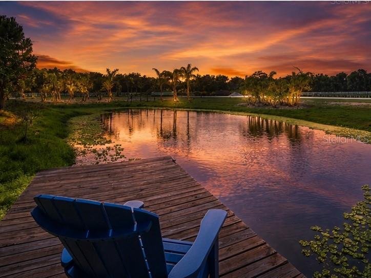 House in Parrish, Florida, United States 3 - 17882505