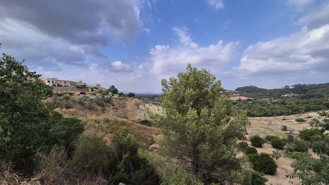 Finca in Costitx, Balearic Islands, Spain 4 - 17933153
