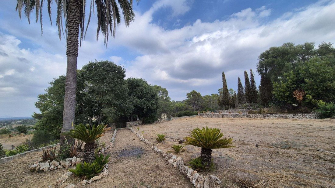 Finca in Costitx, Balearic Islands, Spain 5 - 17933153