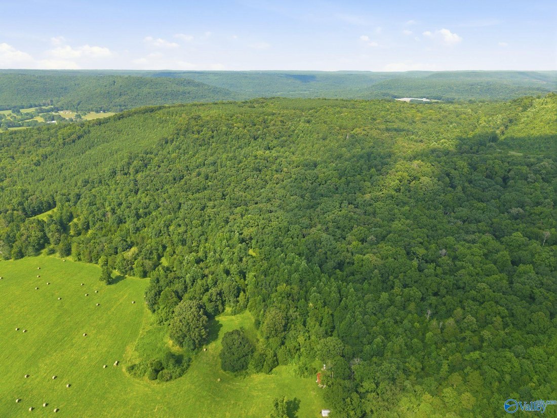 Land in Somerville, Alabama, United States 1 - 18545401