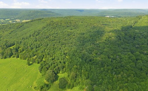 Land in Somerville, Alabama, United States 1