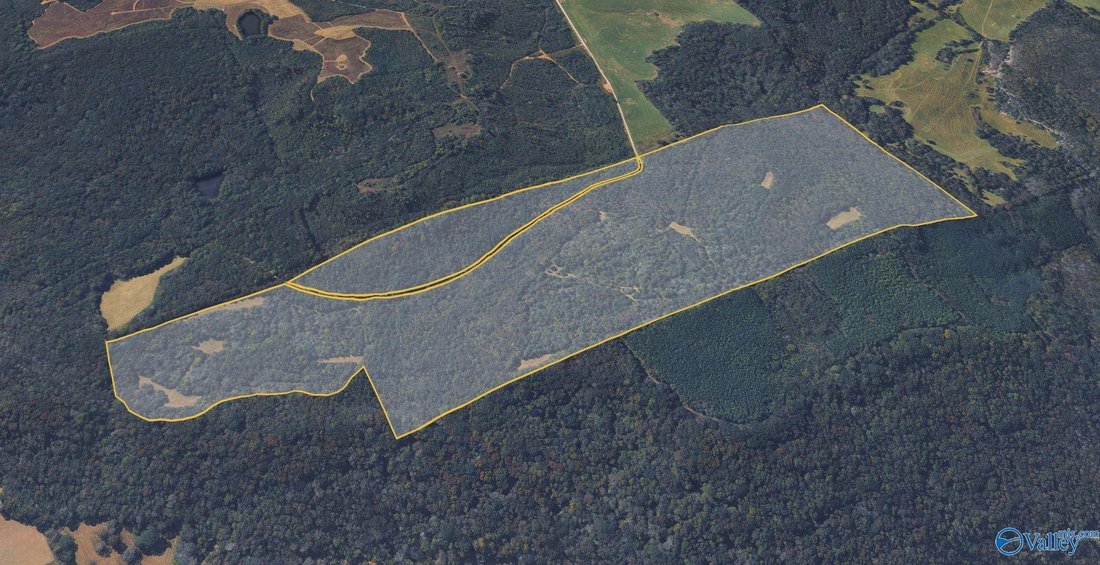 Land in Somerville, Alabama, United States 2 - 18545401