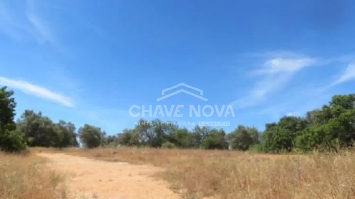 Land in Tavira (Santa Maria e Santiago), Algarve, Portugal 3 - 18545742