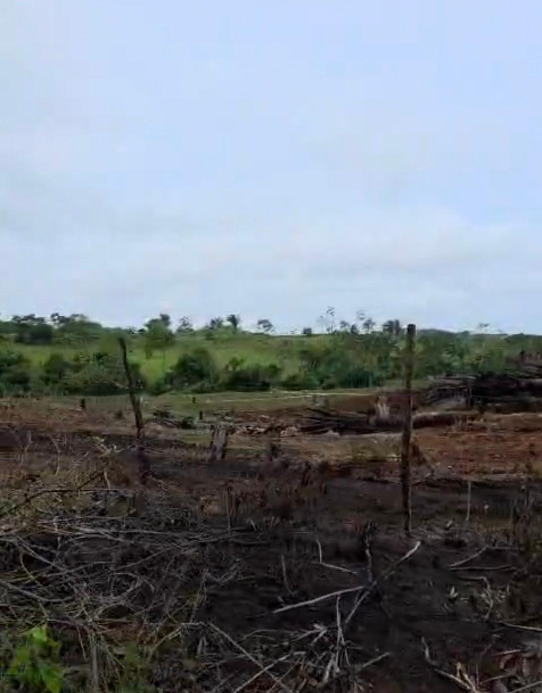Finca in La Chorrera, Panama, Panama 3 - 18545229