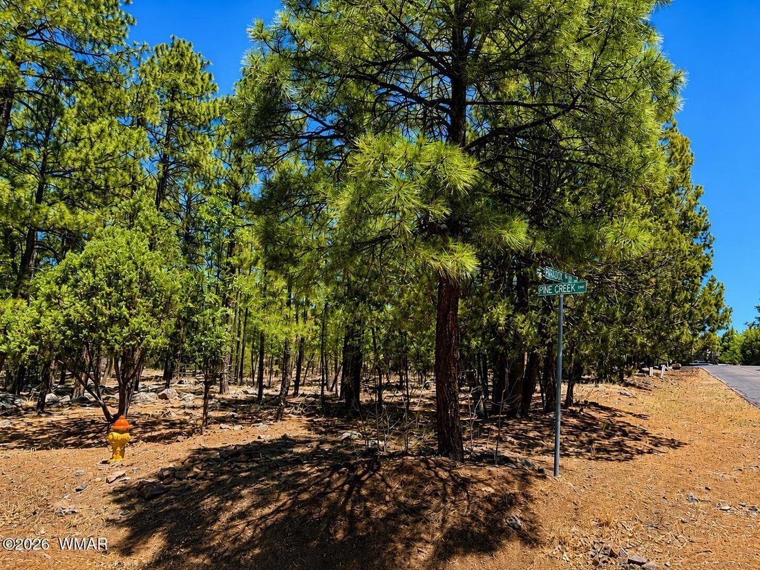 Pinetop-Lakeside, Arizona, United States 2 - 18545058