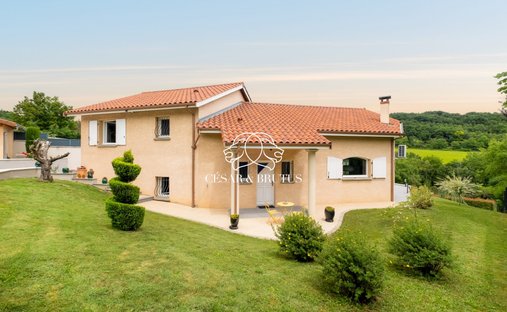 House in Villette-de-Vienne, Auvergne-Rhône-Alpes, France 1