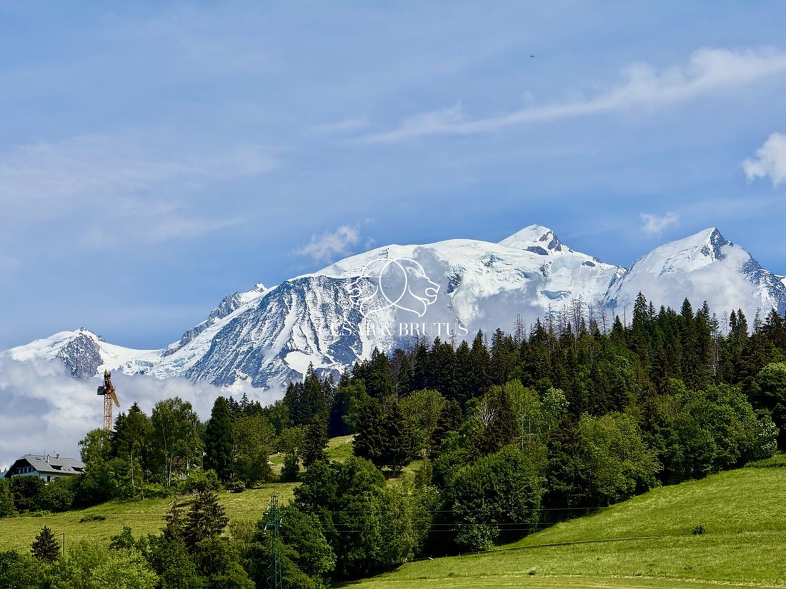 Chalet in Combloux, Auvergne-Rhone-Alpen, Frankreich 4 - 18384876