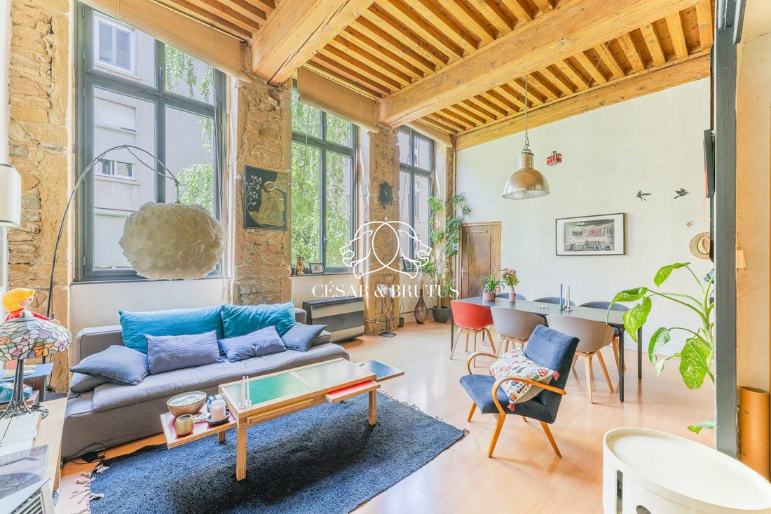 Apartment in Croix Rousse-Gros Caillou, Lyon 4e Arrondissement, Lyon 1 - 18022019