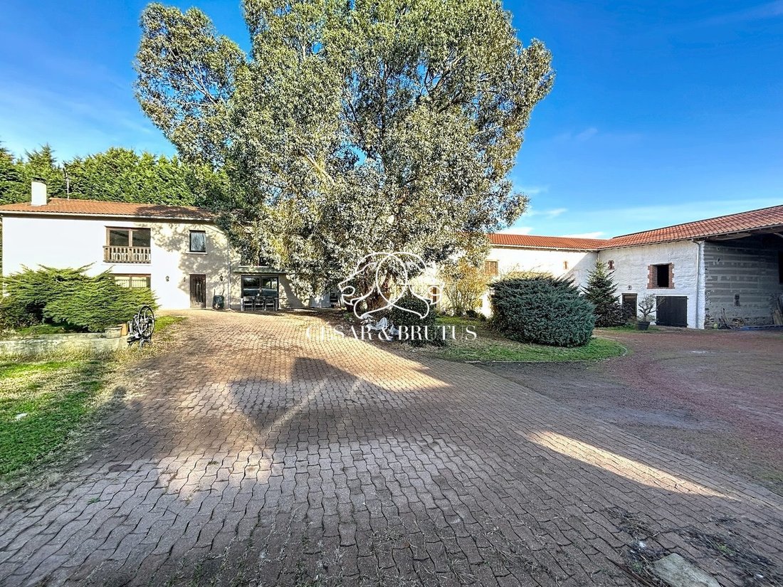 Farm Ranch in Nervieux, Auvergne-Rhône-Alpes, France 3 - 17072326
