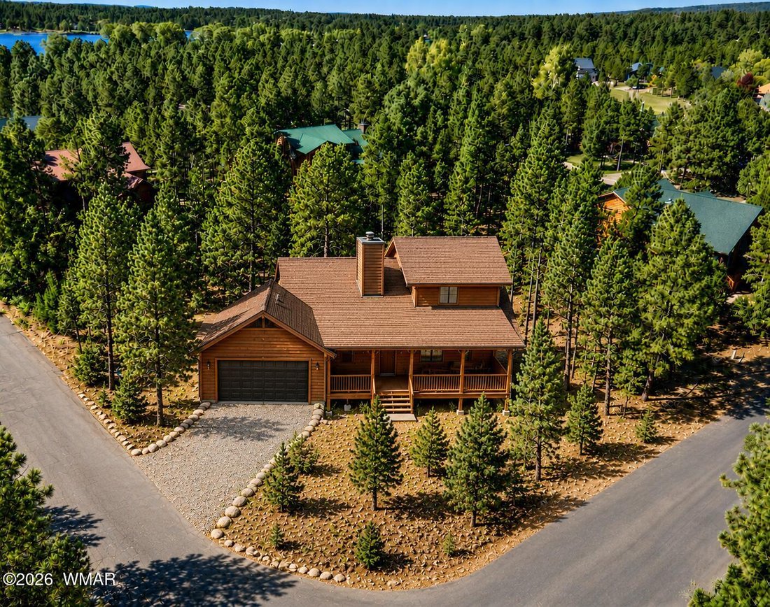 Pinetop-Lakeside, Arizona, United States 4 - 18545058