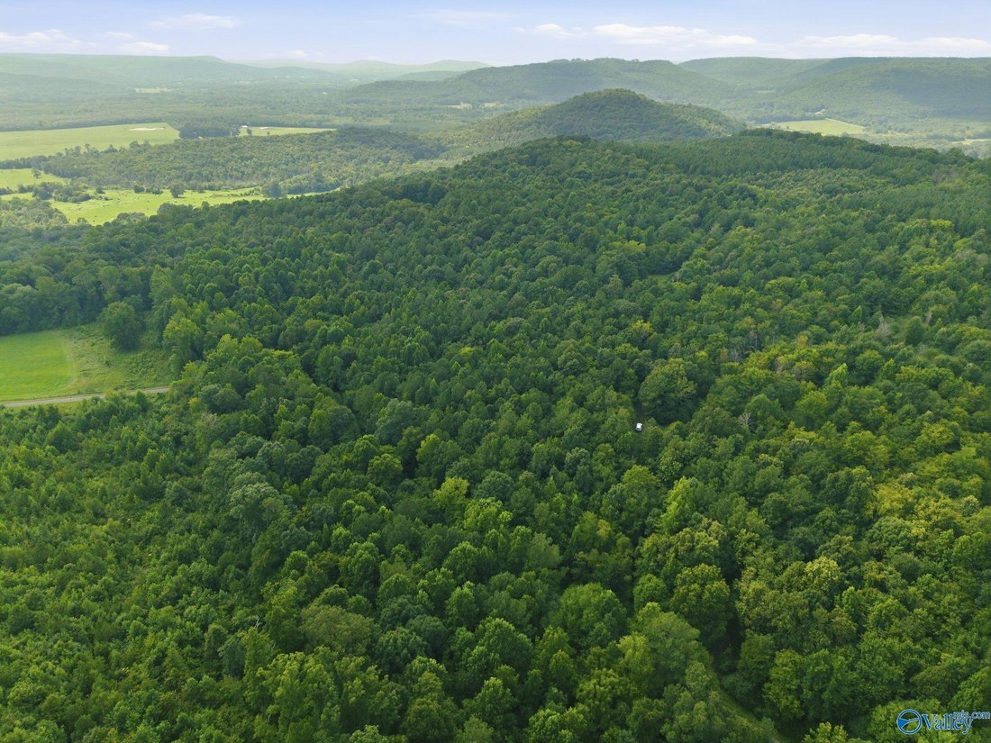 Land in Somerville, Alabama, United States 3 - 18545401