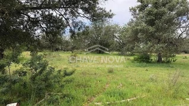 Land in Tavira (Santa Maria e Santiago), Algarve, Portugal 2 - 18545742