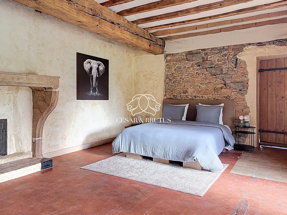 House in Fleurieu-sur-Saone, Auvergne-Rhône-Alpes, France 1 - 18247022