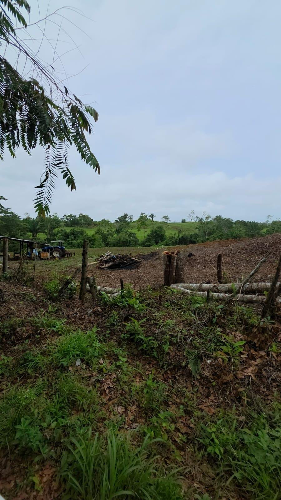 Finca in La Chorrera, Panama, Panama 4 - 18545229