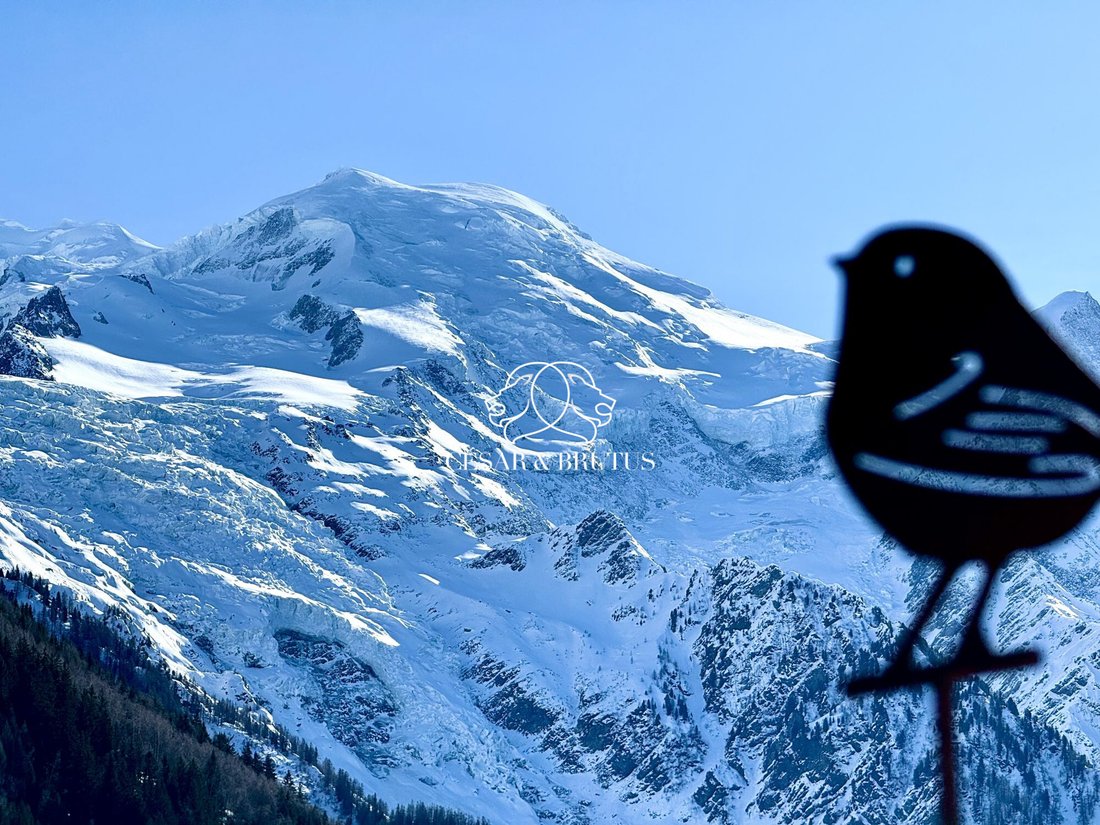 Apartment in Chamonix-Mont-Blanc, Auvergne-Rhône-Alpes, France 3 - 17498709