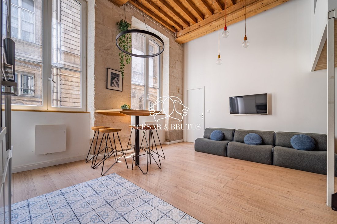 Apartment in Croix Paquet, Lyon 1er Arrondissement, Lyon 1 - 18162010