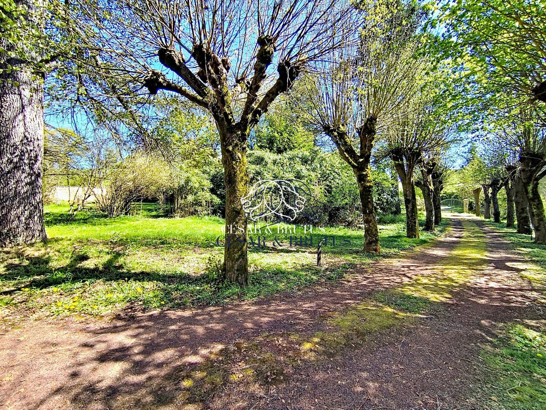 Casa a Chandon, Auvergne-Rodano-Alpi, Francia 5 - 18522731