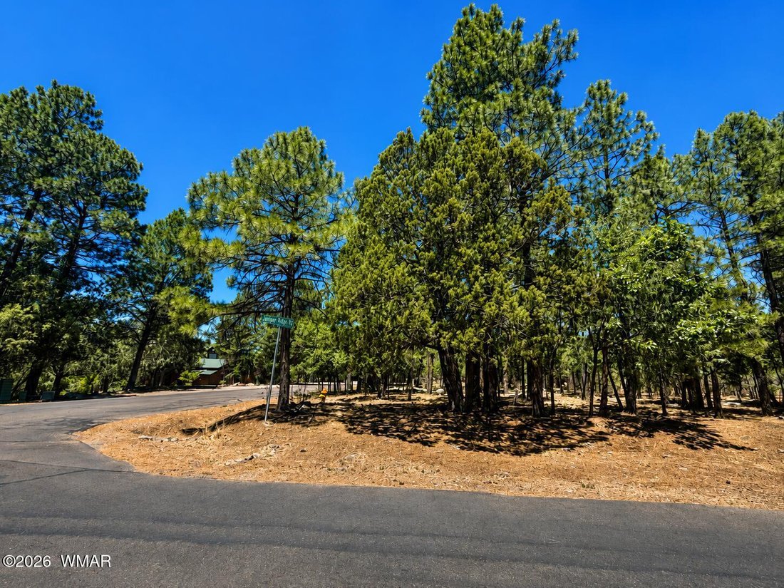 Pinetop-Lakeside, Arizona, United States 4 - 18545058