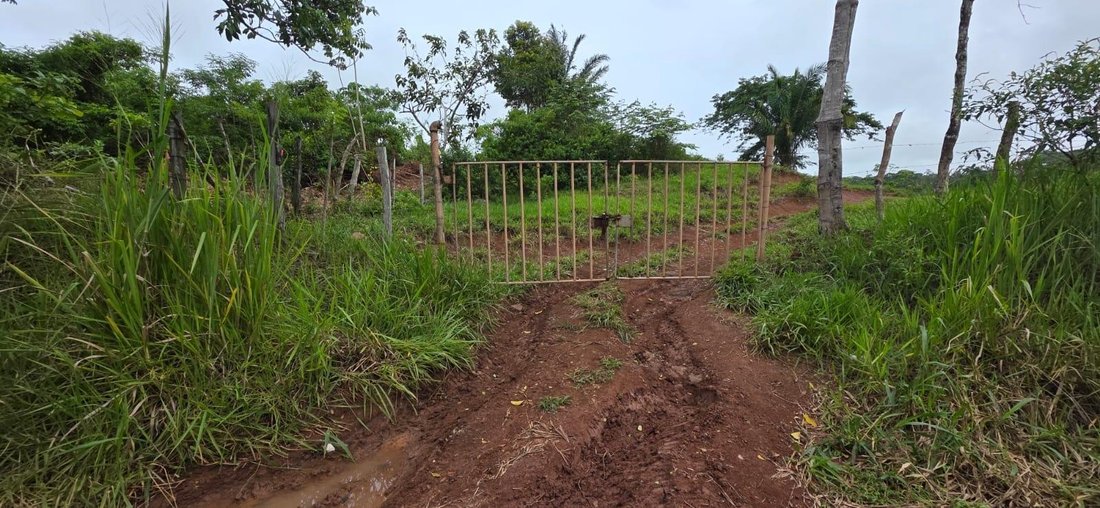 Finca in La Chorrera, Panama, Panama 1 - 18545229