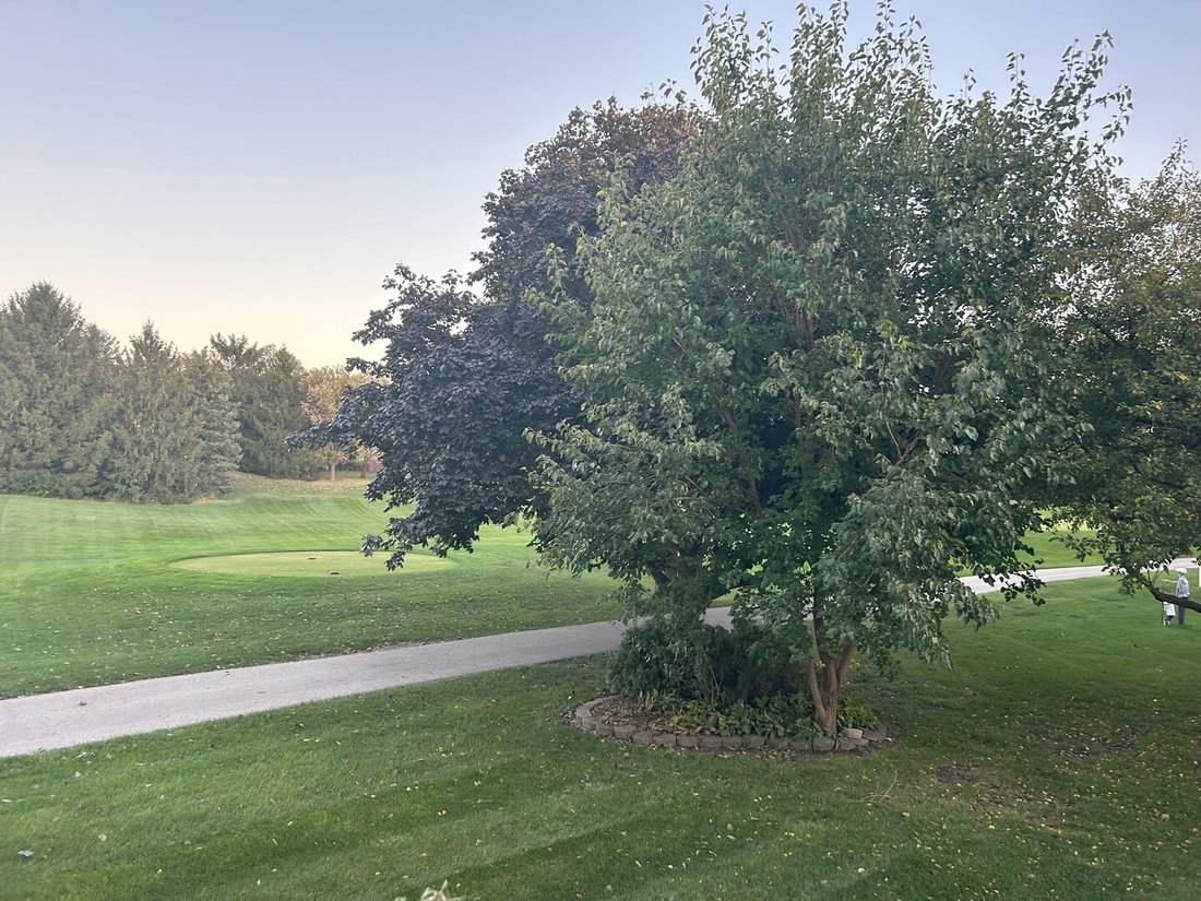 House in Aurora, Illinois, United States 3 - 18545339