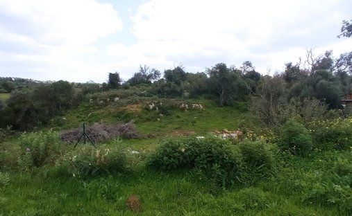 Land in Praia dos Pescadores, Olhos de Agua, Portugal 1