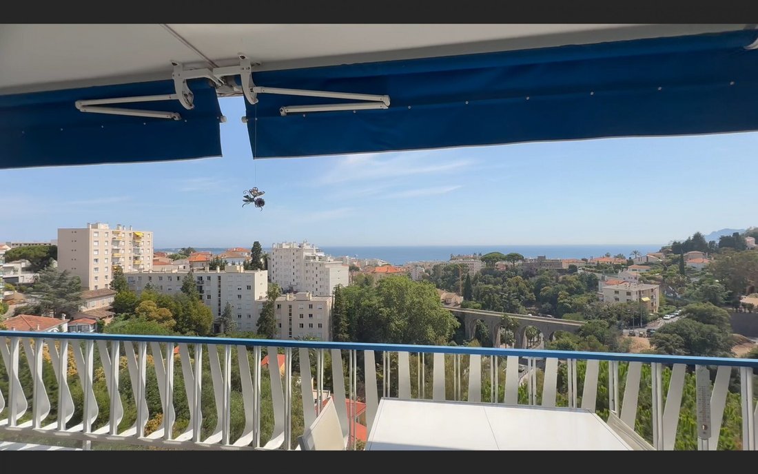 Apartment in Cannes, Provence-Alpes-Côte d'Azur, France 5 - 18332374