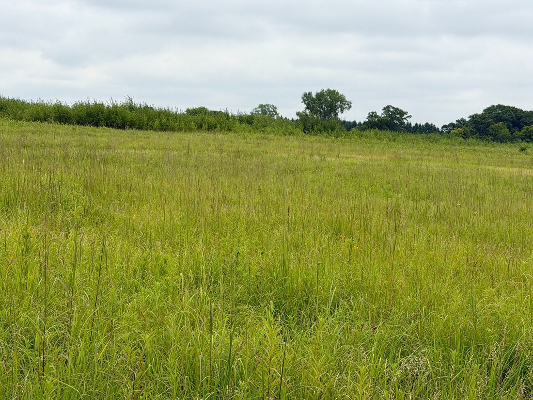 Terreno en Stillwater, Minnesota, Estados Unidos 2 - 18544979