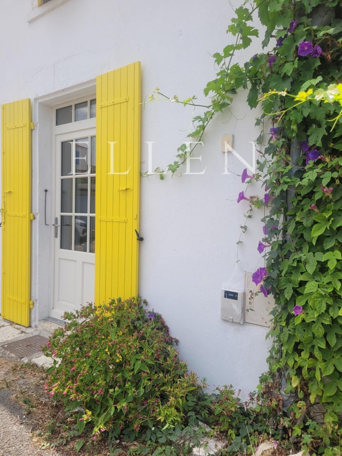 House in La Bree-les-Bains, Nouvelle-Aquitaine, France 1 - 18496361