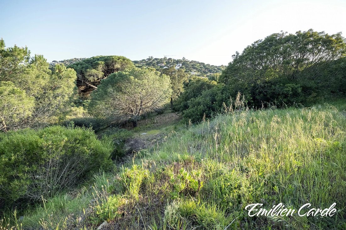 Land in Ville-Les Saquedes-Le Bouillonnet, Sainte-Maxime, France 5 - 16822996