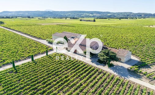 Sainte-Cécile-les-Vignes, Provence-Alpes-Côte d'Azur, France 1