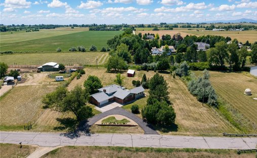 House in Longmont, Colorado, United States 1