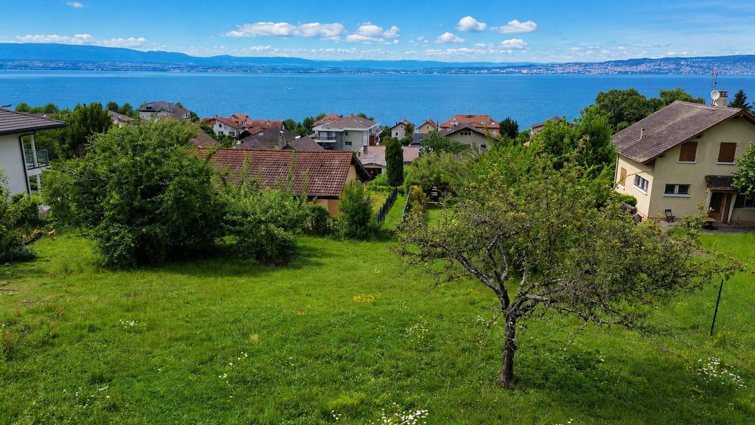 Land in Neuvecelle, Auvergne-Rhone-Alpen, Frankreich 4 - 18433374