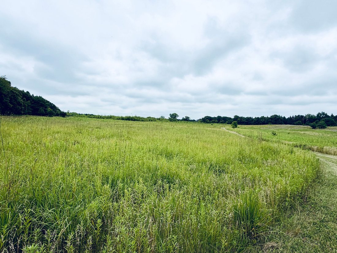 Terreno en Stillwater, Minnesota, Estados Unidos 3 - 18544979
