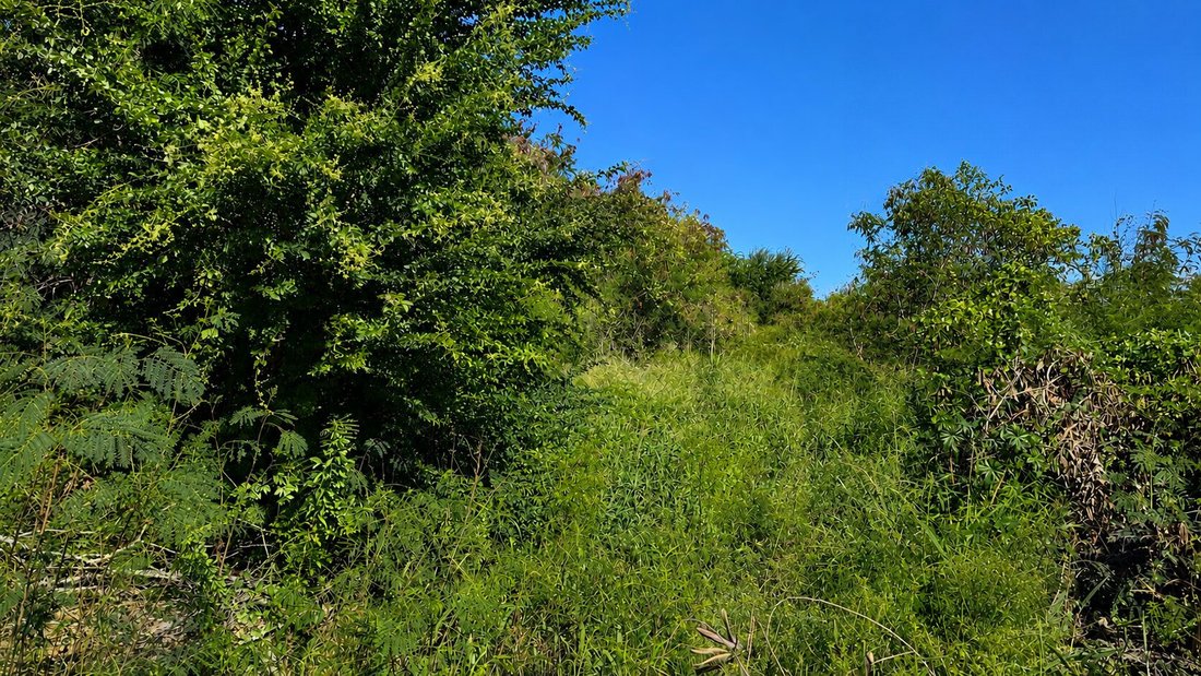 Land in L'Étang-Salé, Saint-Pierre, Réunion 1 - 18332376