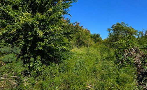 Terreno a L'Étang-Salé, Arrondissement di Saint-Pierre, Riunione 1