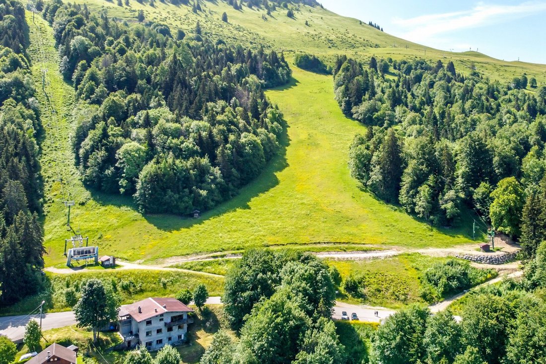 Chalet in Habère-Poche, Auvergne-Rhône-Alpes, France 3 - 18229363