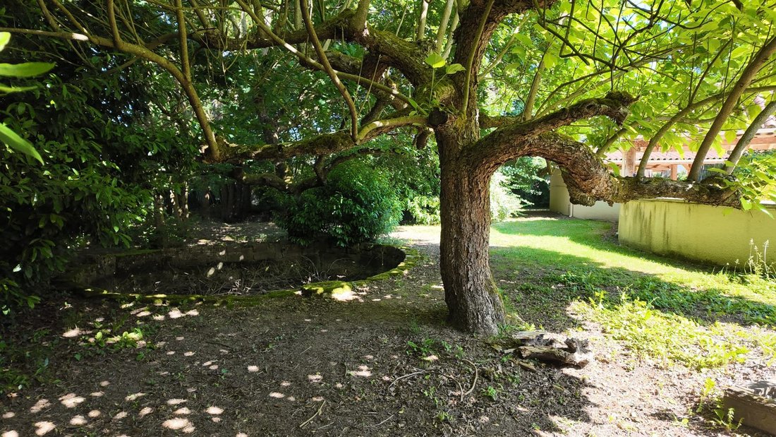 House in Attignat, Auvergne-Rhône-Alpes, France 4 - 18385749