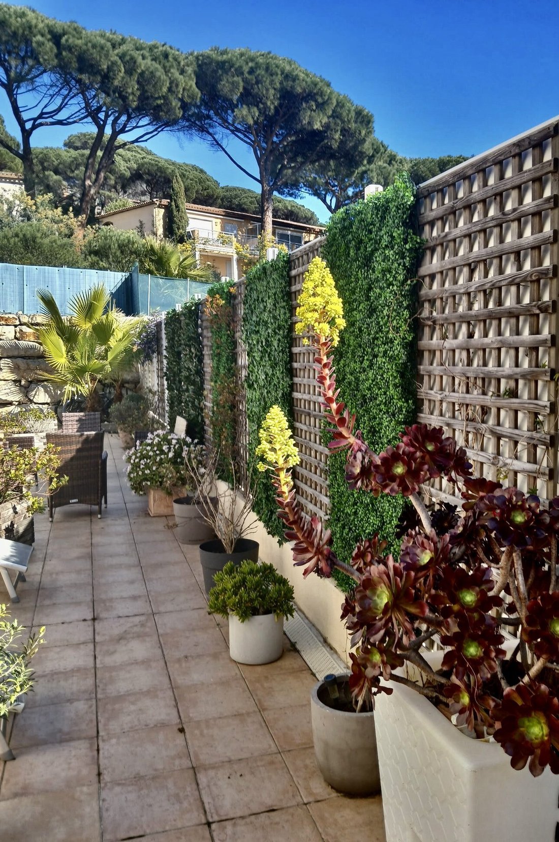 House in Ville-Les Saquedes-Le Bouillonnet, Sainte-Maxime, France 2 - 17045044