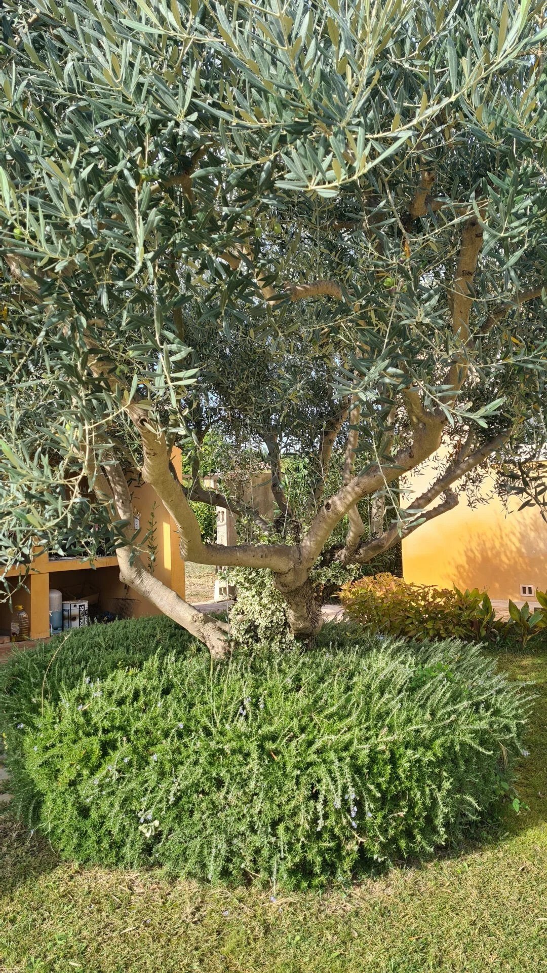 Villa in Nizas, Occitania, France 5 - 16822851