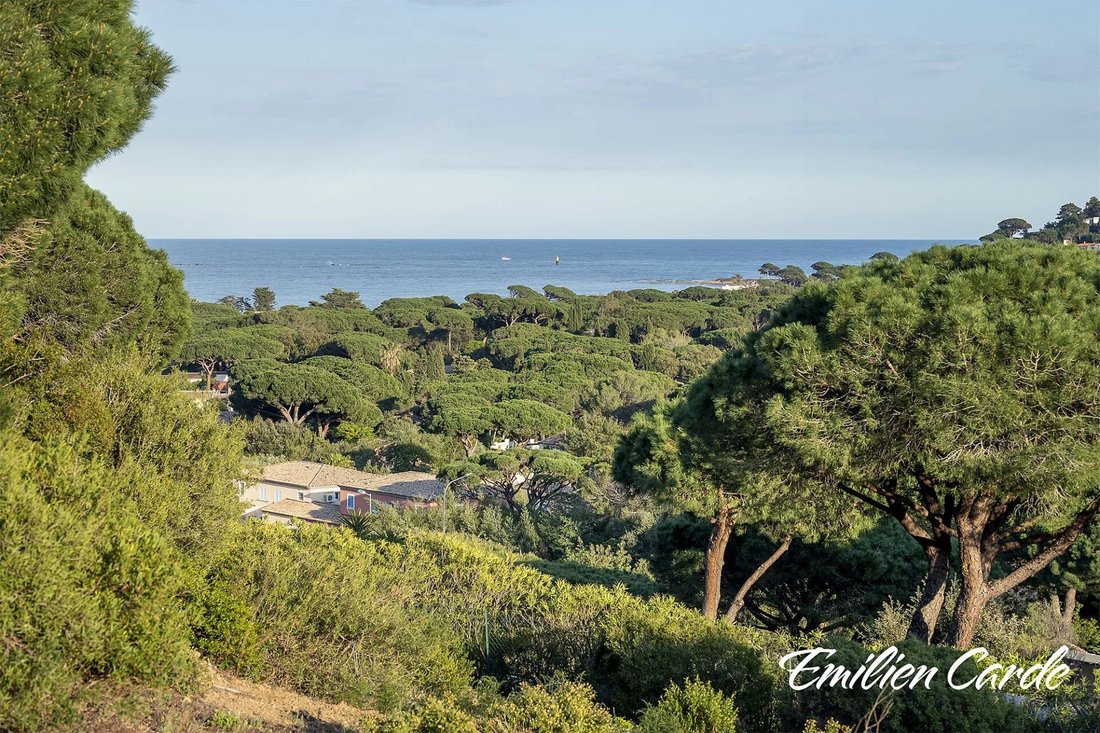 Land in Ville-Les Saquedes-Le Bouillonnet, Sainte-Maxime, France 5 - 16822998