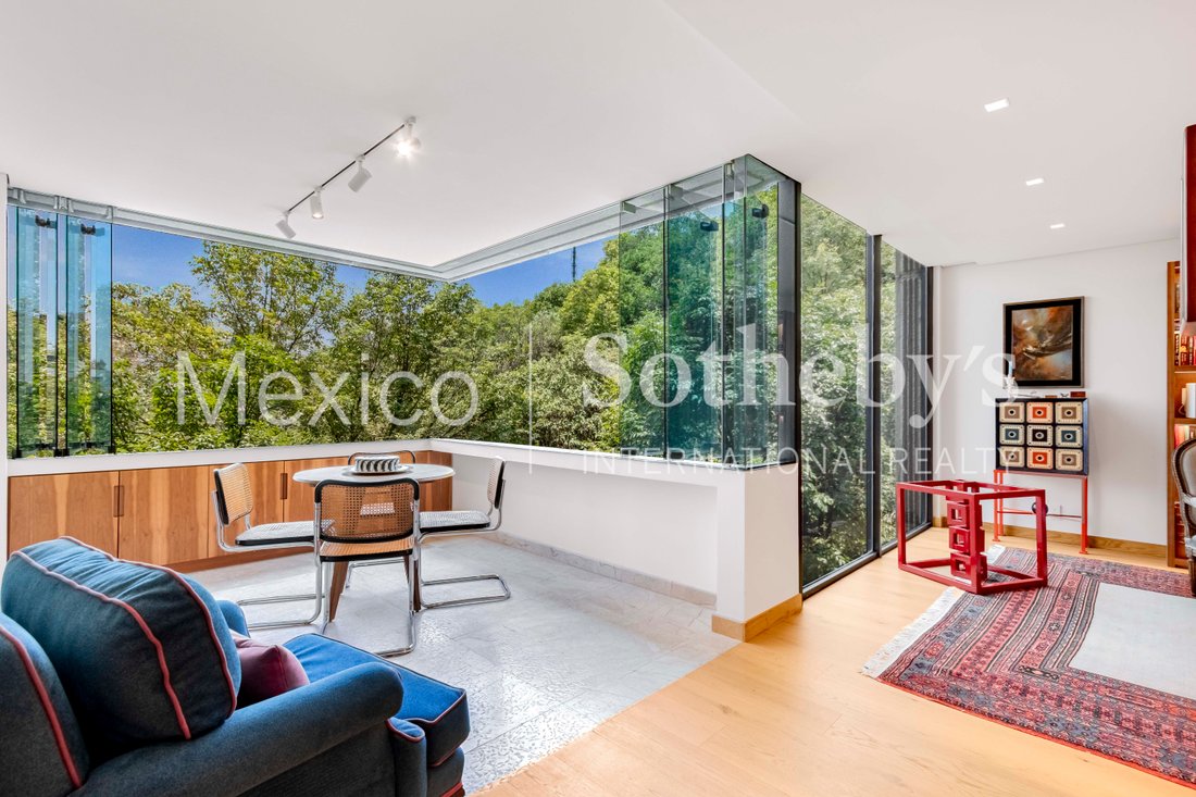 Apartment in Mexico City, Mexico 5 - 18544912