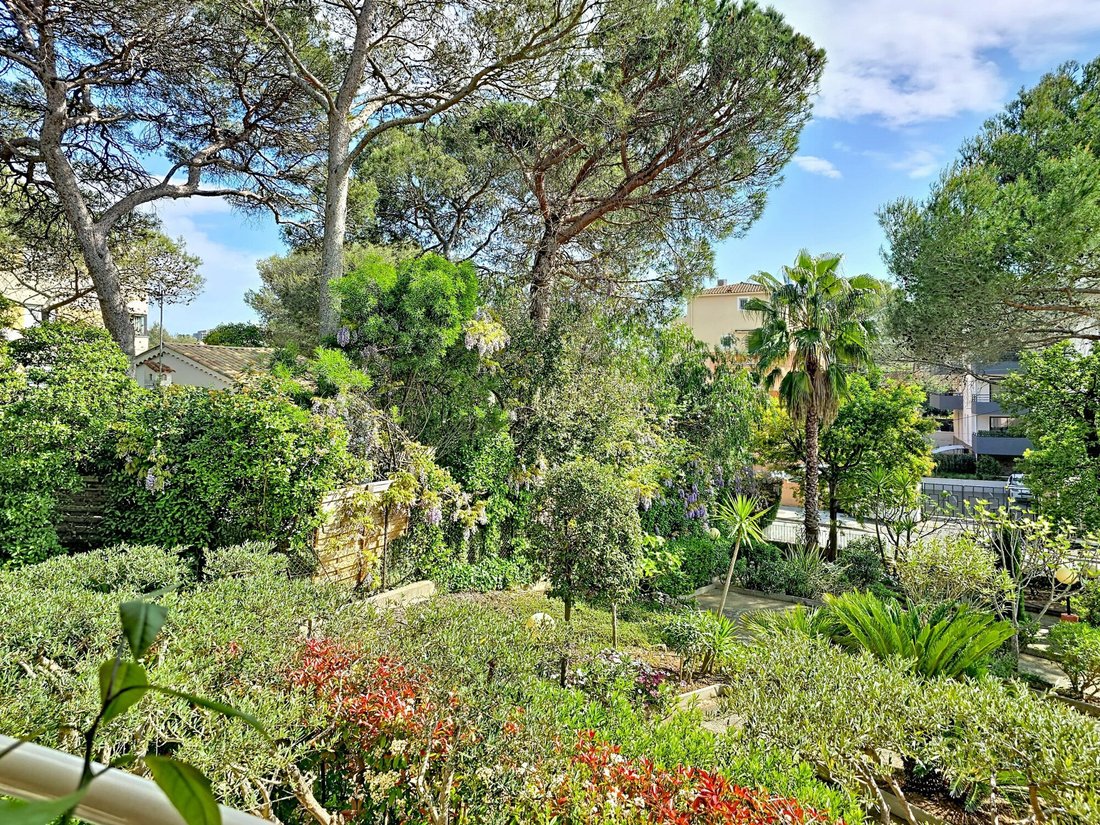 Apartment in Le Dramont-Agay-Anthéor-Le Trayas, Saint-Raphaël, France 4 - 17815909