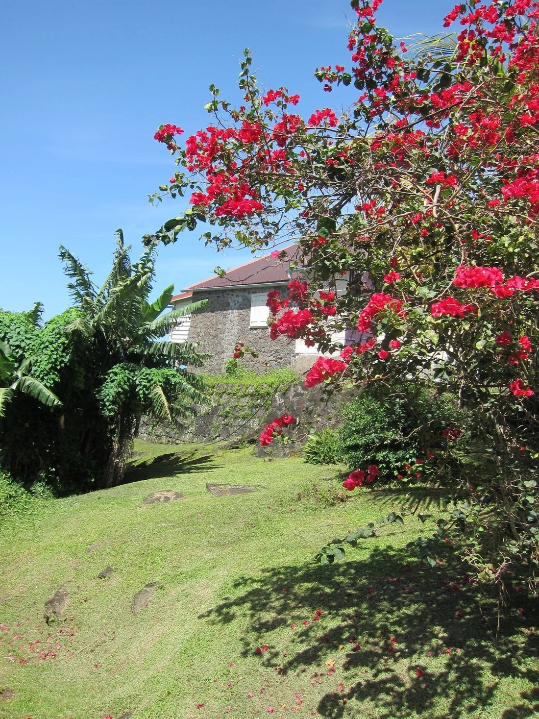 House in Saint-Claude, Basse-Terre, Guadeloupe 5 - 16856506