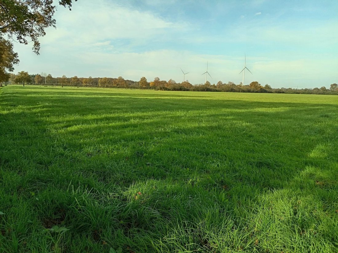 Farm Ranch in Saint-Mars-la-Jaille, Vallons-de-L'Erdre, France 4 - 18206966